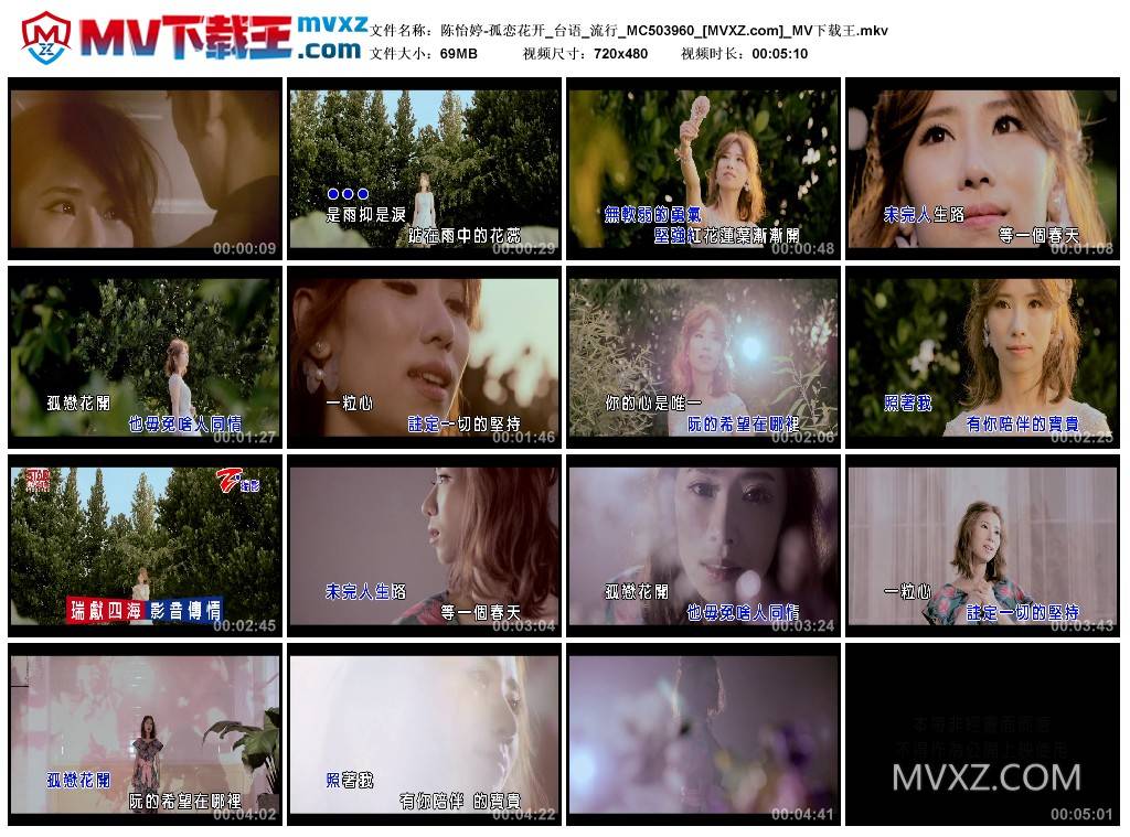 陈怡婷-孤恋花开_台语_流行_MC503960